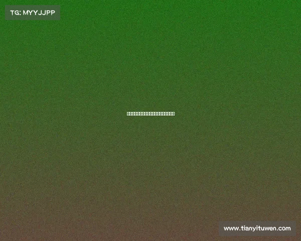 美洲足球俱乐部赛事—美洲足球赛事有哪些