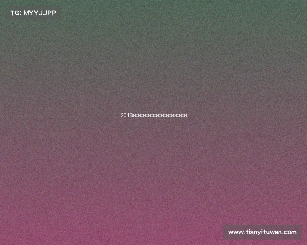 2016河北太极拳大赛隆重开启激情对决弘扬中华文化