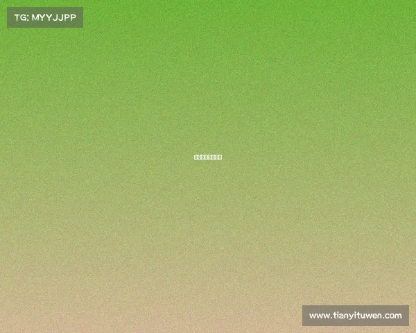 南美洲预选赛比分